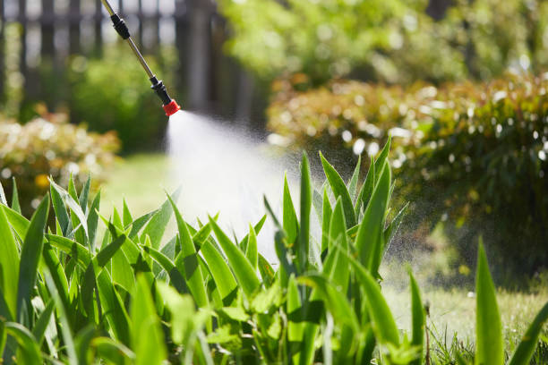 Tamper-Resistant Bait Stations for Rodents in Eminence