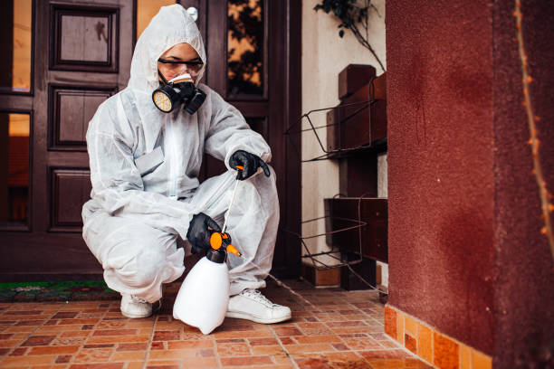 Attic and Crawl Space Rodent Treatment in Eminence