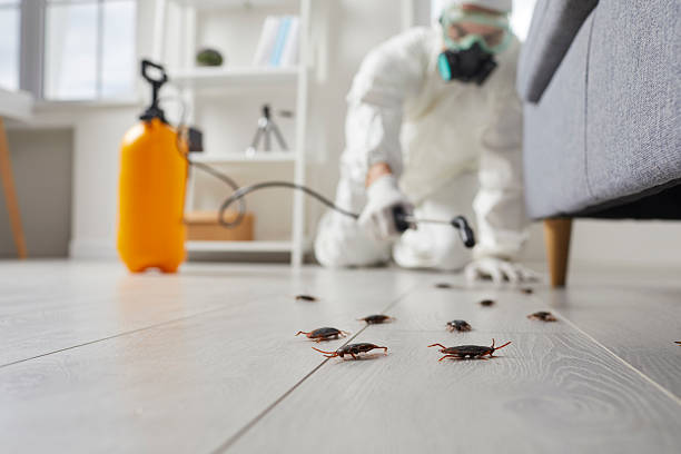 Commercial Rodent Management in Eminence